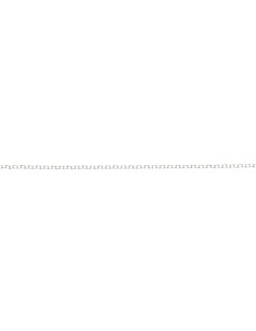 Catena di 50 cm in Argento...