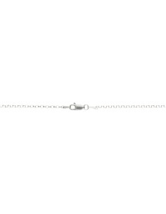 Catena 50cm in Argento... 2