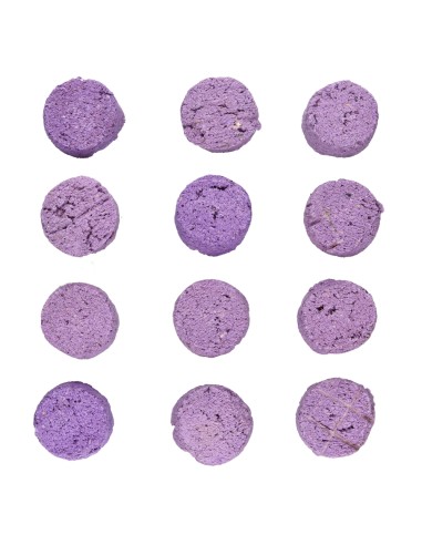 Bomba Carbone x12 Lavanda - Sagrada...