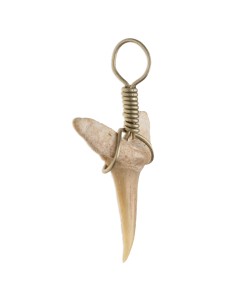 Fossilized Shark Tooth Pendant 2