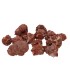 Macla Jacinto de Compostela