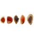 Small Dyed Brown Agate Plate