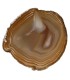Agate Plate Pack