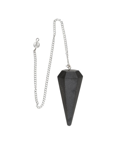 Facetated Black Jasper Pendant (FAC63)