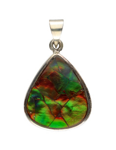 Colgante de Ammolite in...