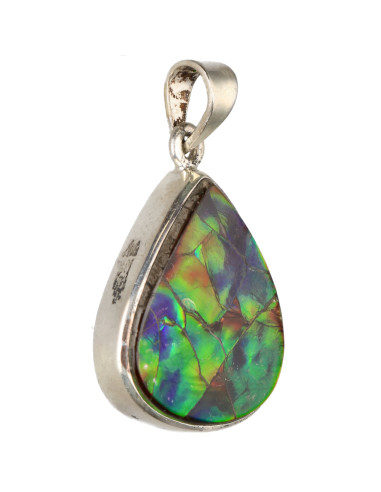 Colgante de Ammolite in Sterling...