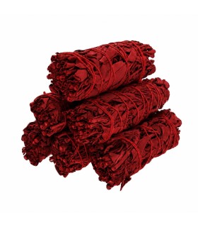 Salvia Sangre de Dragon