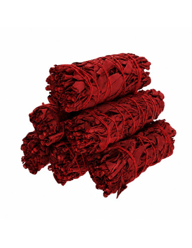 Salvia Sangre de Dragon