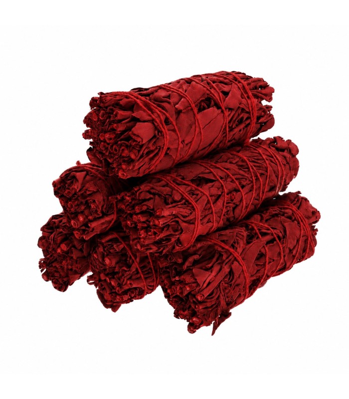 Salvia Sangue di Drago