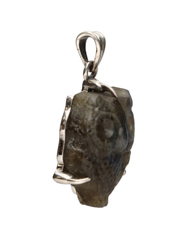 Labradorite Owl Pendant in Sterling...