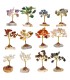 Confezione da 12 mini alberi con base in agata