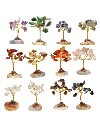 Pack de 12 Mini Árvores com Base de...