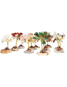 Pack de 12 Mini Arbres avec... 2