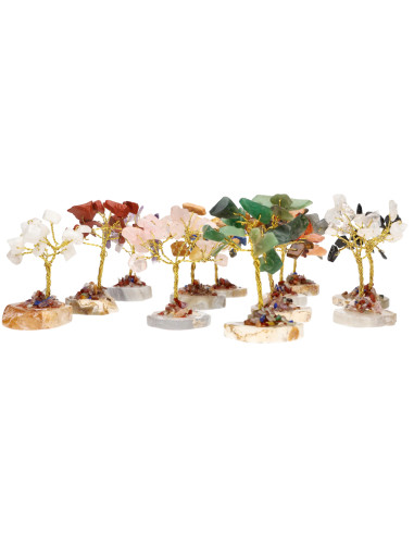 Pack de 12 Mini Árvores com Base de...