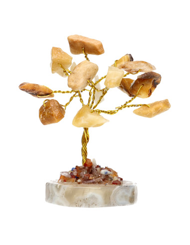 Pack de 12 Mini Arbres avec Base de...