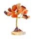 Confezione da 12 mini alberi con base in agata