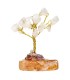 Confezione da 12 mini alberi con base in agata