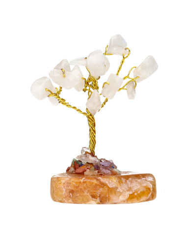 Pack de 12 Mini Arbres avec Base de...