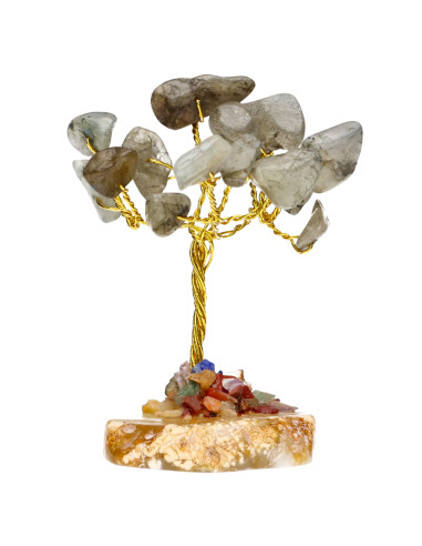 Pack de 12 Mini Arbres avec Base de...