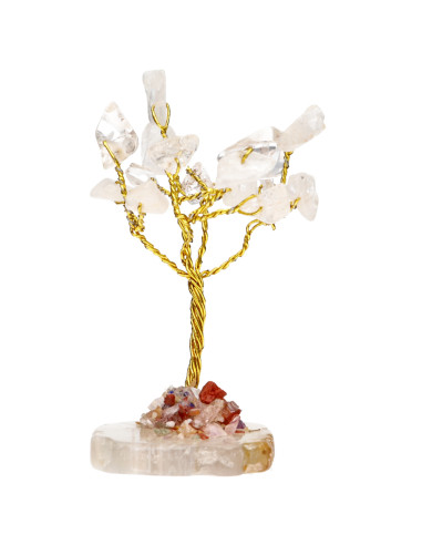 Pack de 12 Mini Arbres avec Base de...