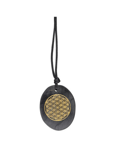 Oval Shungite Pendant with Flower of...