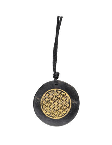 Colgante of Shungit Circle with...