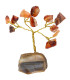 Pack de 12 Mini Árboles con Base de Mineral