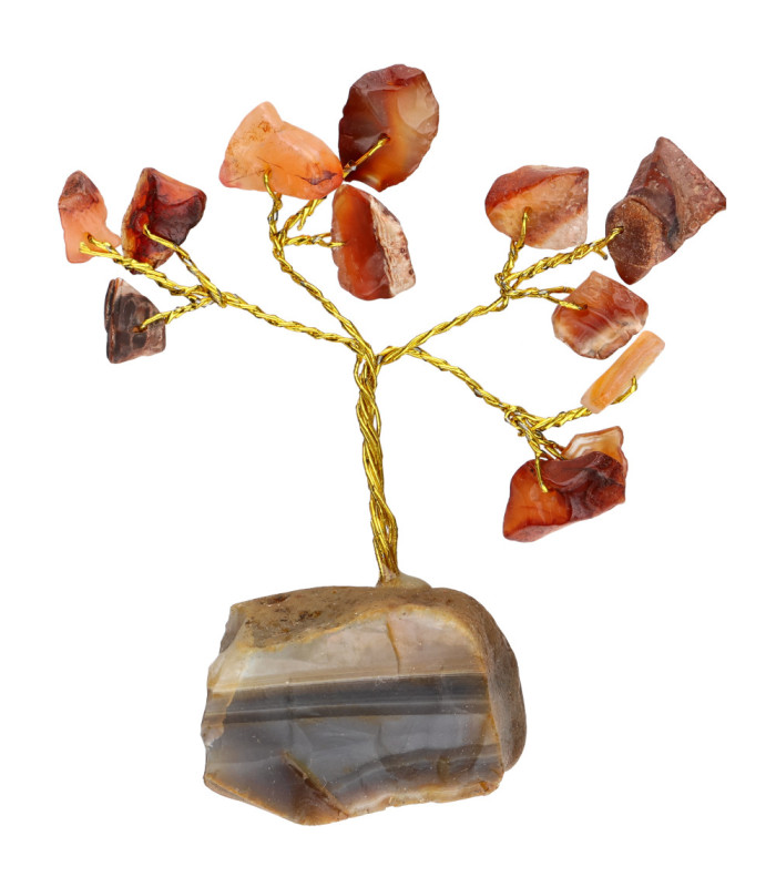 Pack de 12 Mini Árboles con Base de Mineral