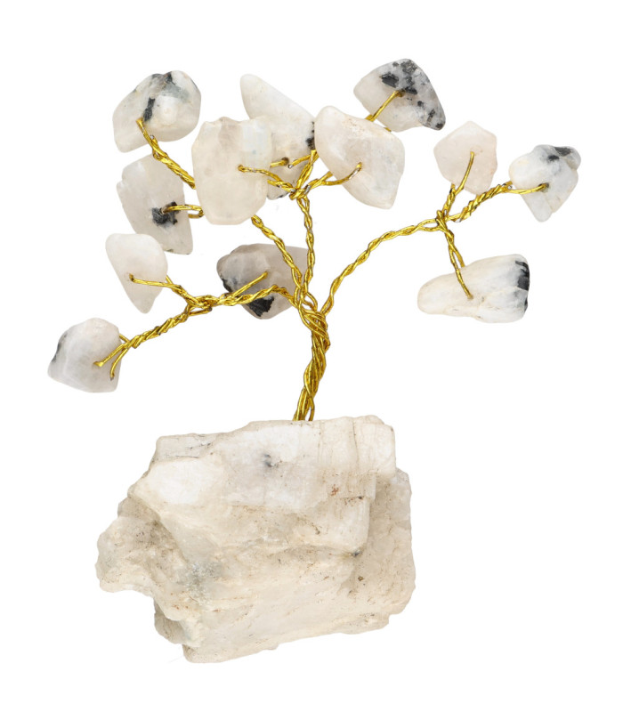 Pack de 12 Mini Árboles con Base de Mineral