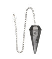 Faceted Shungite Pendulum