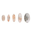Cabochon di Quarzo Sciamanico
