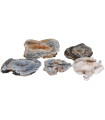 Calcedonia Cristalizada en bruto 20-29gr