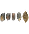 Labradorite Cabochon A Quality
