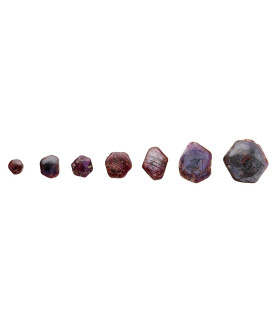 Cabochon di Rubino