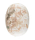 Savon Escolecite