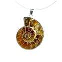 Colgante Ammonite