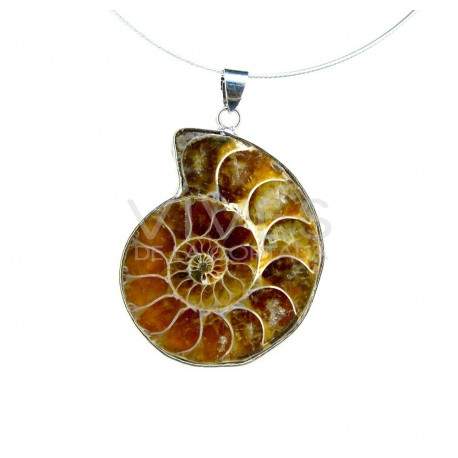Colgante Ammonite