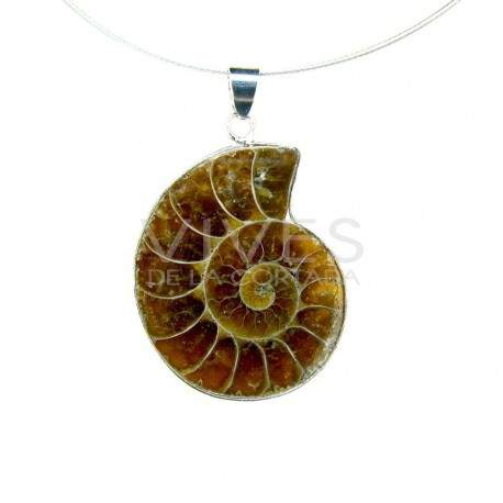 Colgante Ammonite