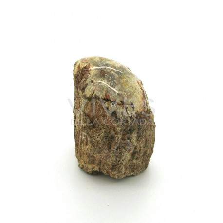 Xilòpalo (500g)