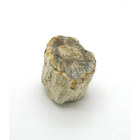 Xilòpalo (500g)