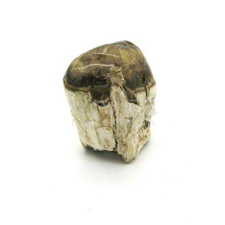 Xilòpalo (500g)