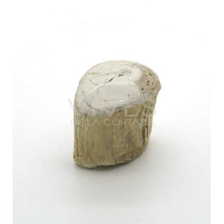Xilòpalo (500g)
