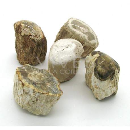 Xilòpalo (500g)