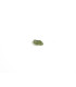 Moldavite Petite (0.5-0.9gr)