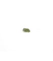 Moldavite Petite (0.1-0.9gr)
