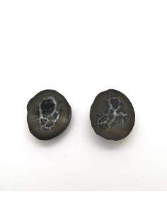 Pareja Pequeña de Septária