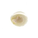 Mini Geoda de Ágata Cristalizada (250g)