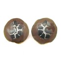Medium Septarian Couple