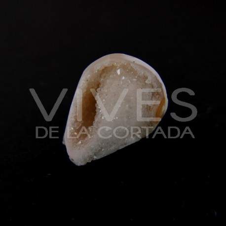 Crystallized Seashells (Pack 10gr)