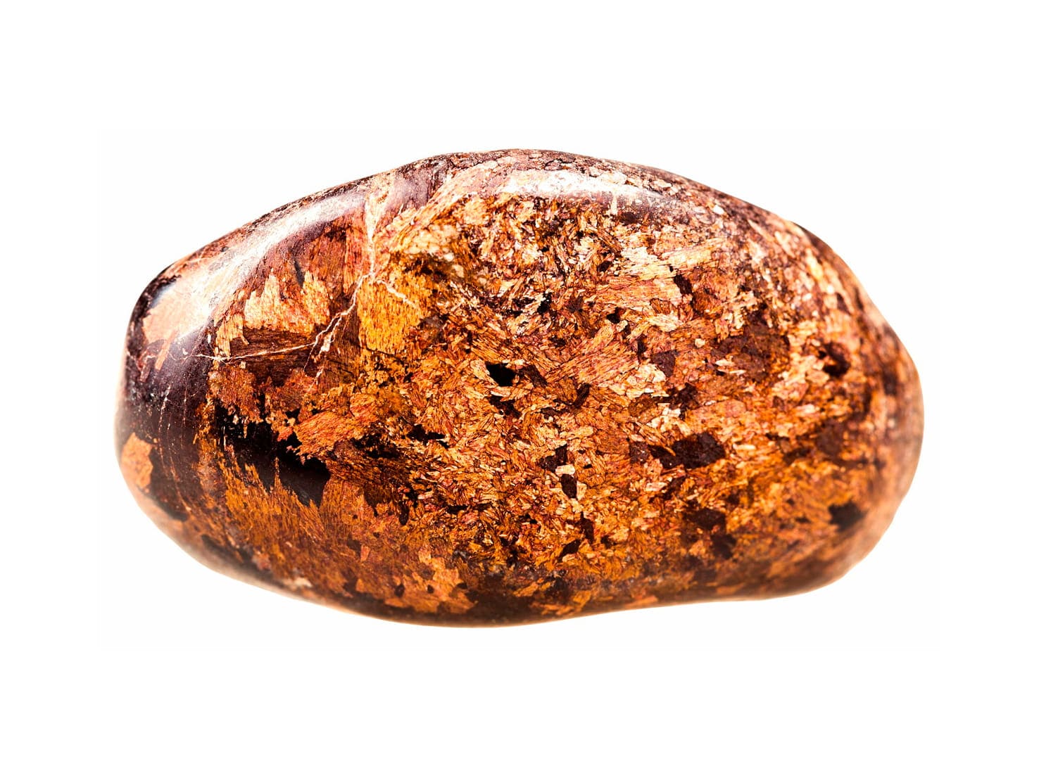 Broncita